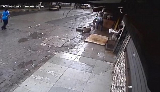 فيديو صادم يهز المشاعر.. مقتل مذيعة شهيرة بعد سقوط نخلة عملاقة عليها! صورة رقم 2