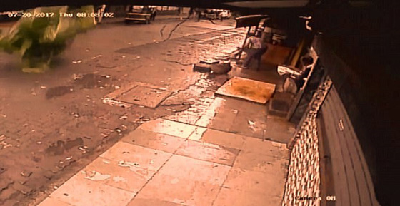 فيديو صادم يهز المشاعر.. مقتل مذيعة شهيرة بعد سقوط نخلة عملاقة عليها! صورة رقم 9