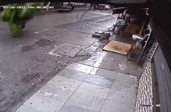 فيديو صادم يهز المشاعر.. مقتل مذيعة شهيرة بعد سقوط نخلة عملاقة عليها! صورة رقم 5