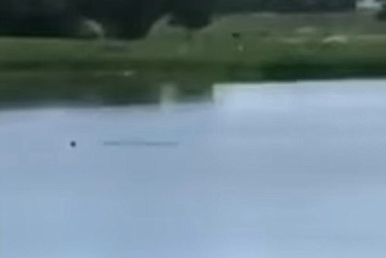 قمة الوقاحة.. 5 مراهقين يسخرون من رجل يغرق ولم ينقذوه حتى مات! صورة رقم 4