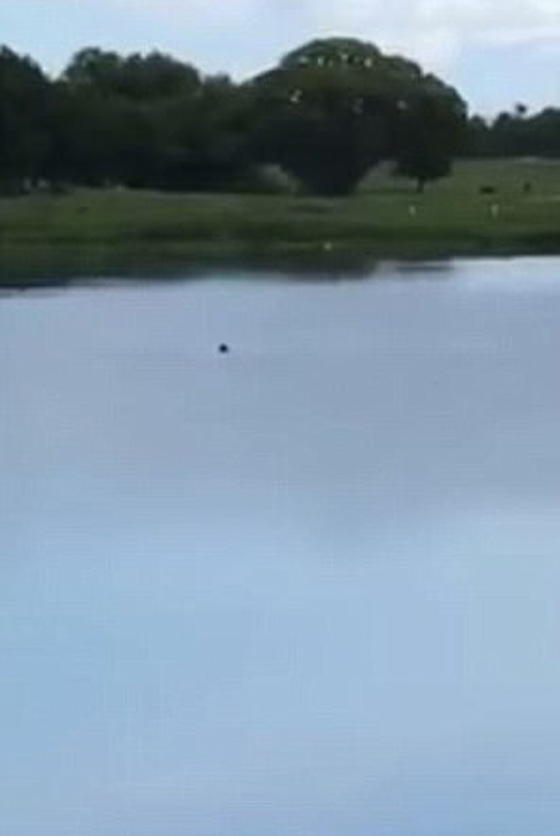 قمة الوقاحة.. 5 مراهقين يسخرون من رجل يغرق ولم ينقذوه حتى مات! صورة رقم 5