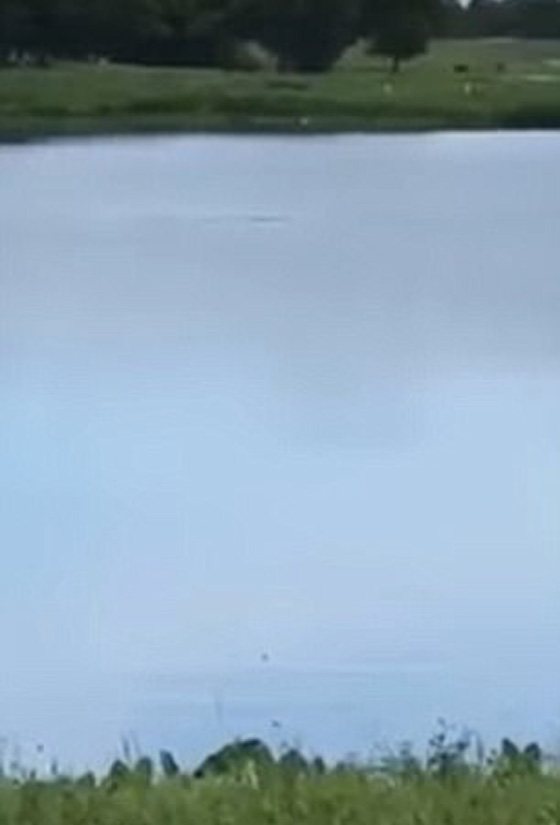 قمة الوقاحة.. 5 مراهقين يسخرون من رجل يغرق ولم ينقذوه حتى مات! صورة رقم 6