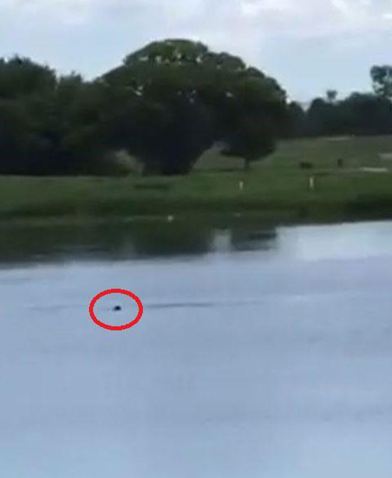 قمة الوقاحة.. 5 مراهقين يسخرون من رجل يغرق ولم ينقذوه حتى مات! صورة رقم 1