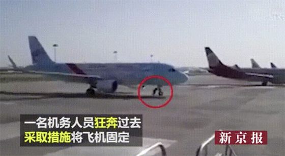 شاهد كيف اوقف هذا العامل طائرة ركاب بسبب خلل ومنع حدوث كارثة صورة رقم 6