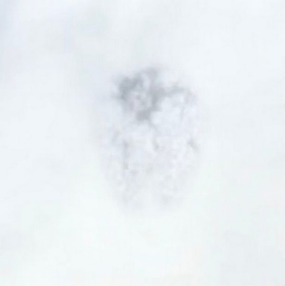 فيديو مثير.. طبق طائر متحول في سماء كورنال البريطانية يثير الذعر  صورة رقم 5