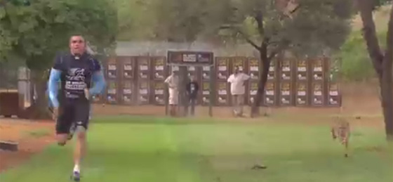 بالفيديو.. سباقات وتحديات مثيرة بين الإنسان والحيوان صورة رقم 3