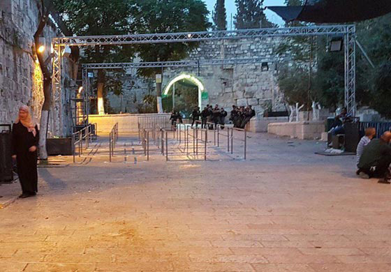 الفلسطينيون يحتفلون بتراجع إسرائيل وإزالة الاجهزة الأمنية من الأقصى صورة رقم 10