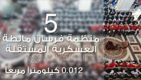 تعرفوا على الدول الاقل مساحة من الفاتيكان.. فيديو صورة رقم 5