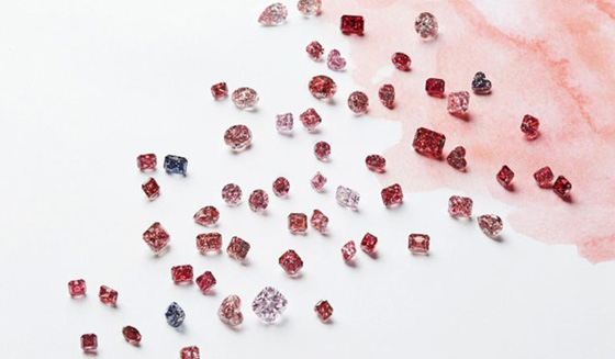 مجوهرات اصغر من السنت بـ10 ملايين دولار فقط!! صورة رقم 6