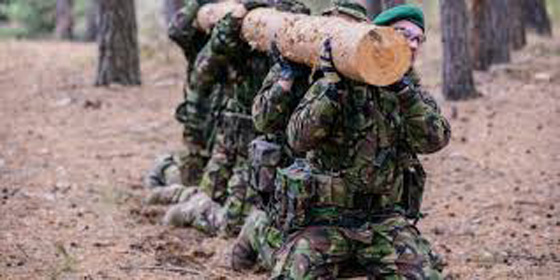 لهذا السبب ينفق الجيش الأمريكي 84 مليون دولار سنويا على أقراص الفياغرا صورة رقم 5