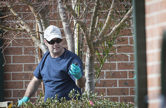 اعتقال 4 لبنانيين خططوا لتفخيخ ماكينة عصير وتفجيرها بطائرة في الجو صورة رقم 37