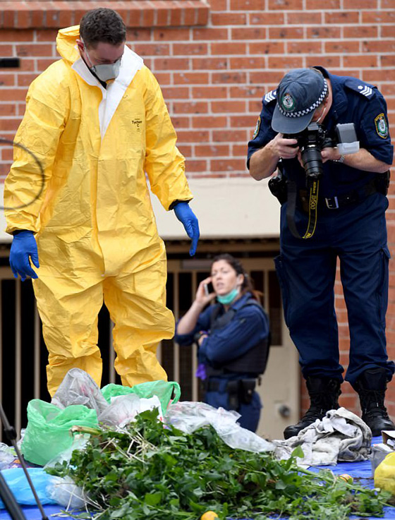 اعتقال 4 لبنانيين خططوا لتفخيخ ماكينة عصير وتفجيرها بطائرة في الجو صورة رقم 4