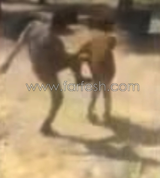 فيديو مؤلم.. جنود أتراك يعتدون بالضرب المبرح على شبان سوريين صورة رقم 9