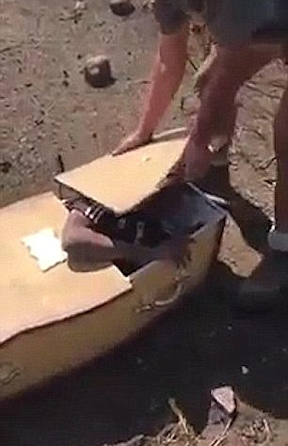 اعتديا على مزارع أسود بالضرب المبرح ووضعاه في نعش لاحراقه  صورة رقم 2