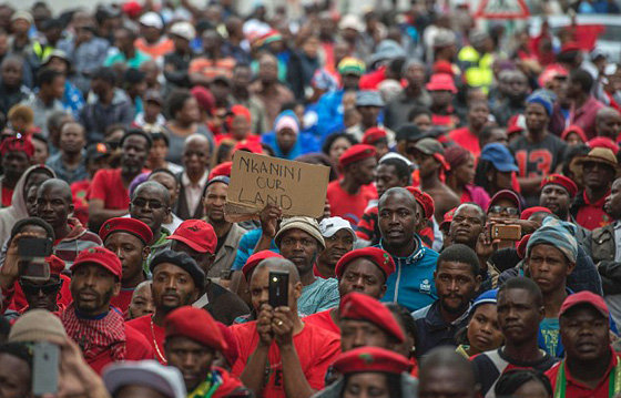 اعتديا على مزارع أسود بالضرب المبرح ووضعاه في نعش لاحراقه  صورة رقم 23