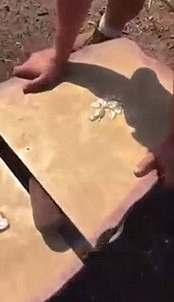 اعتديا على مزارع أسود بالضرب المبرح ووضعاه في نعش لاحراقه  صورة رقم 3