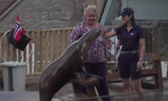 فيديو لرئيسة وزراء النرويج تلاعب أسد البحر صورة رقم 8