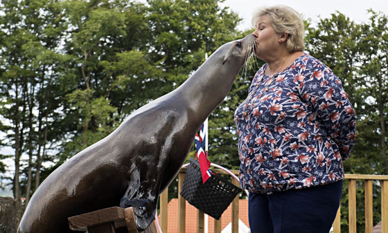 فيديو لرئيسة وزراء النرويج تلاعب أسد البحر صورة رقم 9