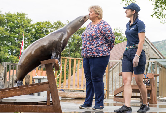 فيديو لرئيسة وزراء النرويج تلاعب أسد البحر صورة رقم 5