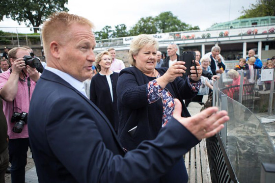 فيديو لرئيسة وزراء النرويج تلاعب أسد البحر صورة رقم 12