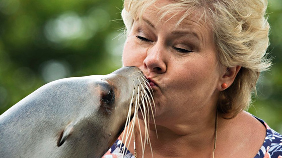 فيديو لرئيسة وزراء النرويج تلاعب أسد البحر صورة رقم 4