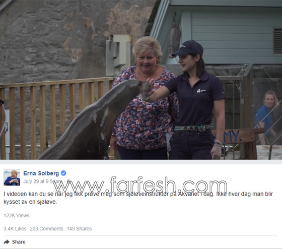 فيديو لرئيسة وزراء النرويج تلاعب أسد البحر صورة رقم 1