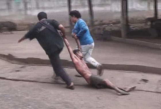  فيديو مروع.. دب اسود يهاجم سائحا اراد اطعامه ويجره لافتراسه! صورة رقم 7