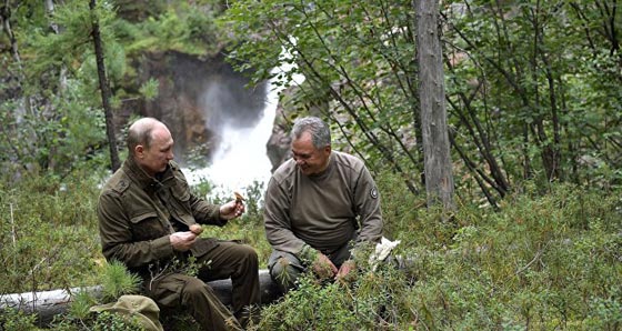  بوتين يطارد سمكة كبيرة تحت المياه الجليدية في سيبيريا.. فيديو صورة رقم 7