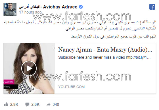 المتحدث باسم الجيش الإسرائيلي: لو سألتك أنت مصري تقولي ايه. صورة رقم 1