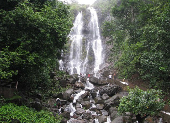 فيديو مؤلم.. مزاح بين شابين مخمورين يودي بحياتهما من فوق شلال صورة رقم 5