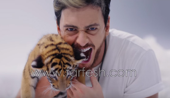 المجرد، ابتسام، الدوزي وايهاب فازوا بـ (موروكو ميوزيك أورادز) صورة رقم 5