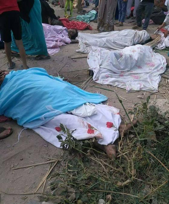 فيدو وصور.. نحو 50 قتيلا في تصادم مروّع بين قطارين بالاسكندرية صورة رقم 7