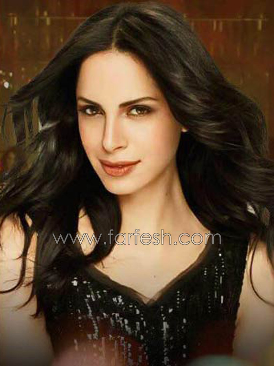 هل غنى عمرو دياب لدينا الشربيني (برج الحوت) وما سر علاقتهما؟ صورة رقم 3