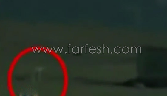 فيديو صادم للكبار فقط: مومياء فرعونية مرعبة تتحرك ليلًا قرب الاهرامات صورة رقم 1