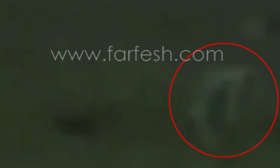 فيديو صادم للكبار فقط: مومياء فرعونية مرعبة تتحرك ليلًا قرب الاهرامات صورة رقم 2