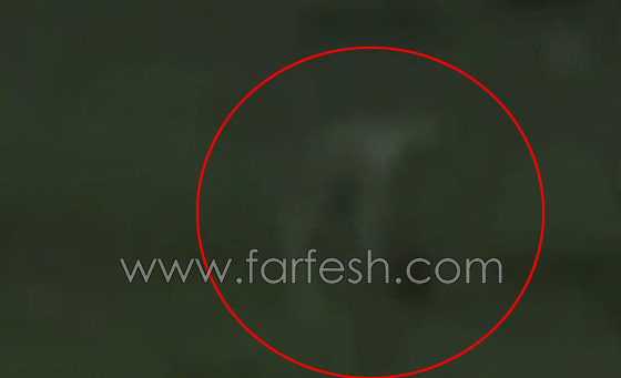 فيديو صادم للكبار فقط: مومياء فرعونية مرعبة تتحرك ليلًا قرب الاهرامات صورة رقم 3