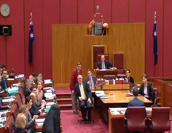 رئيسة حزب يميني ترتدي البرقع في مجلس الشيوخ الأسترالي.. والسبب؟! صورة رقم 2