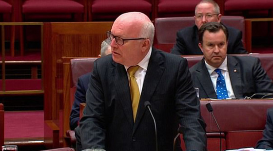 رئيسة حزب يميني ترتدي البرقع في مجلس الشيوخ الأسترالي.. والسبب؟! صورة رقم 11