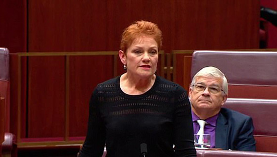 رئيسة حزب يميني ترتدي البرقع في مجلس الشيوخ الأسترالي.. والسبب؟! صورة رقم 10