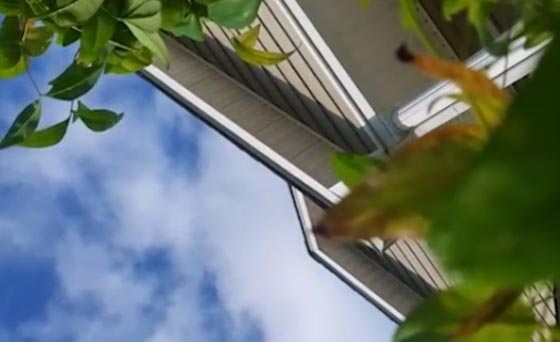  فيديو غريب صورته كاميرا هاتف سقط من طيارة من ارتفاع 1000 قدم! صورة رقم 4