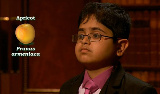 تعرفوا على الطفل الأكثر عبقرية في بريطانيا صورة رقم 5