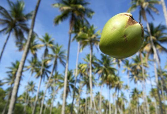 حمى التأمين والتعطّش للمال: أغرب حالات التأمين وأثمنها حول العالم صورة رقم 15