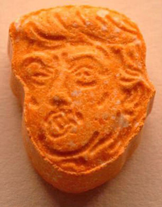 المانيا: الشرطة تصادر حبوب هلوسة على شكل رأس ترامب صورة رقم 3