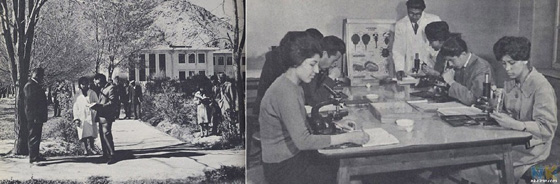 التنانير القصيرة تقنع ترامب بالبقاء في أفغانستان صورة رقم 6