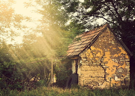 هل تبحث عن وظيفة براتب مغري؟ اليك الوظائف الأكثر طلبا عام 2030  صورة رقم 17