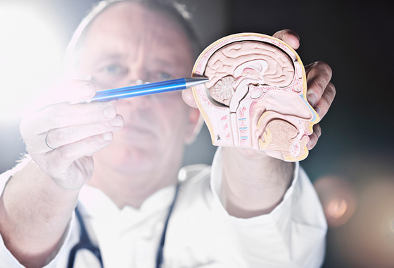 هل تبحث عن وظيفة براتب مغري؟ اليك الوظائف الأكثر طلبا عام 2030  صورة رقم 13