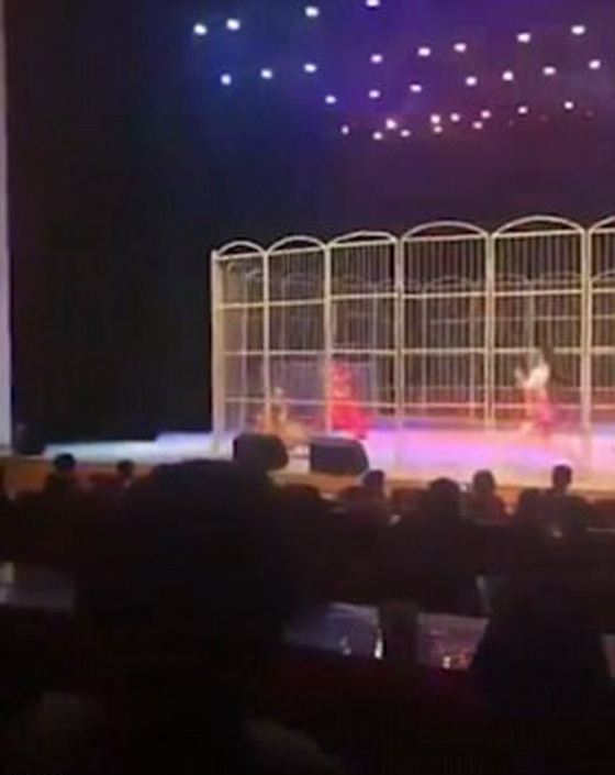 لحظات مرعبة.. نمر ينقض على مدربه في سيرك وسط صدمة الجمهور صورة رقم 2