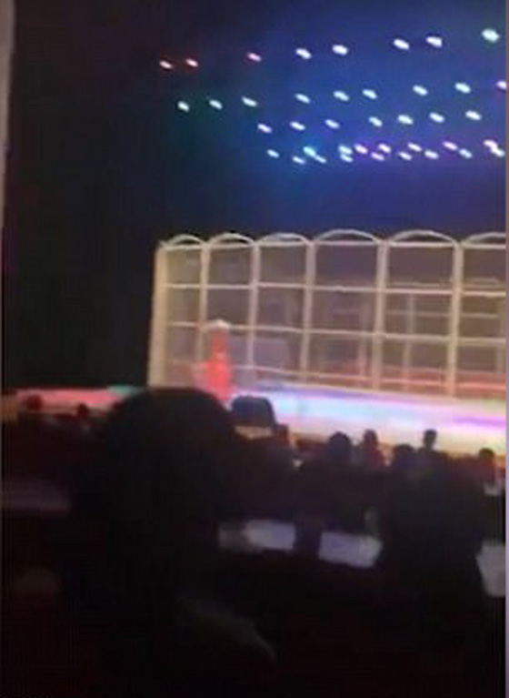 لحظات مرعبة.. نمر ينقض على مدربه في سيرك وسط صدمة الجمهور صورة رقم 4