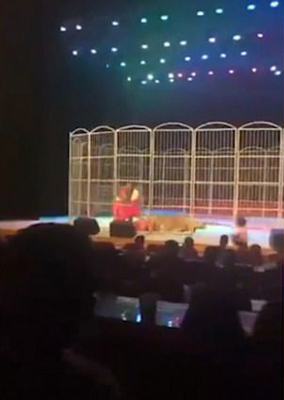 لحظات مرعبة.. نمر ينقض على مدربه في سيرك وسط صدمة الجمهور صورة رقم 6