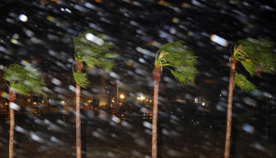 اعصار هارفي الرهيب يجتاح تكساس وترامب يعلن حالة الطوارئ.. فيديو صورة رقم 2